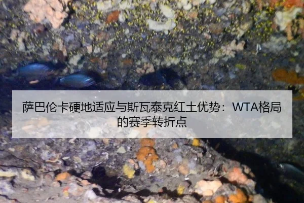 萨巴伦卡硬地适应与斯瓦泰克红土优势：WTA格局的赛季转折点